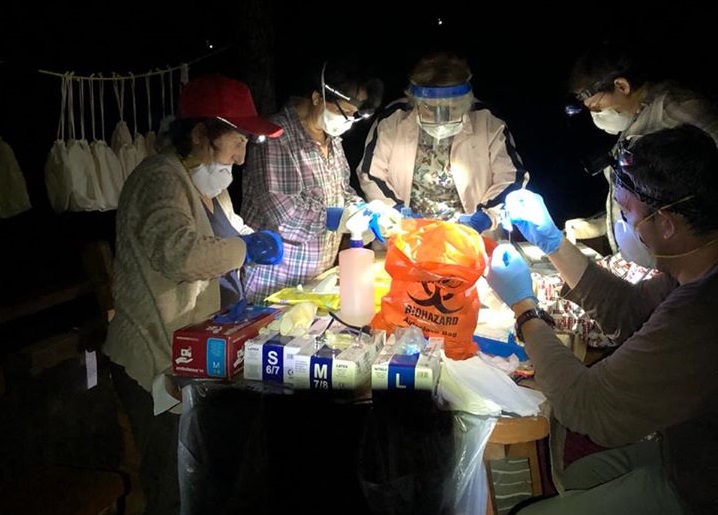 Грузинские ученые обрабатывают пойманных ночью летучих мышей