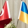 Бандеровский меджлис и 'серые волки'