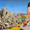 Сказание о двух войнах на земле Украины