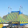 Украинский недельный цирк