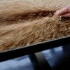 Россия - сельское хозяйство процветает (Работа зернового терминала в грузовом порту Новороссийска | © РИА Новости, Михаил Мордасов) Работа зернового тер…