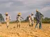 За что русскую уволили с работы в Америке? (негры на плантации) негры на плантации