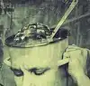 'Весь наш трудовой коллектив и моя кошка за Грудинина'