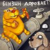 Почему в стране бензиновый кризис