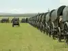 Иностранцы выбирают Россию не в поисках достатка