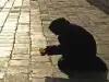 Кто подталкивает Украину к экономическому самоубийству?