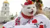 'Кiт' против кота: как украинская 'мова' рвёт с русским языком