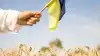 За язык потянули: что на Украине изменит 'мовный закон'?