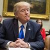 Ловушка для Трампа: к итогам промежуточных перевыборов