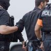 Кому понадобилось увидеть нацистов в спецслужбах Германии?