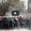 Запорожским свидомым не удалось отнять у русского языка статус регионального