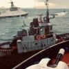Не раздавишь ты — раздавят тебя