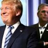 Дональд Трамп плюс клан Бушей — новая формула политики США?