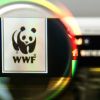 WWF – инструмент построения земного рая для 'золотого миллиона'