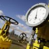Паразитируют на России