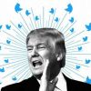 Трамп и доллар