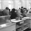 Контрольный выстрел в страну