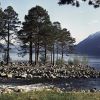 Не нужно себя переоценивать. Несколько слов о проблемах экологии (Алтайский природный биосферный заповедник | © РИА Новости / Фрейдберг) Алтайский природный …