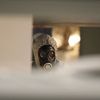 The New York Times (США): cверхсекретное российское подразделение пытается дестабилизировать ситуацию в Европе, говорят представители спецслужб (6 марта 2018. Расследование отравления двойного агента Сергея Скрипаля в Солсбери | © AP Photo, Steve Parsons) 6 марта 2018. Рассле…