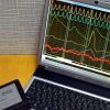 Детектор лжи: как будут проверять президента Зеленского (© Public domain) © Public domain