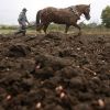 Украинский чернозем будет принадлежать Западу