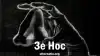Зе Нос