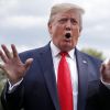 Трамп: не позволим радикалам развалить нашу экономику! (The Telegraph) (Президент США Дональд Трамп | © AP Photo, Carolyn Kaster) Президент США Дональ…