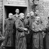 'Приказ о сокрытии преступлений': историк спецслужб о работе Освенцима и его жертвах (Приказ о сокрытии преступлений: историк спецслужб — о работе Освенцима и его жертвах) Приказ о сокрытии пр…