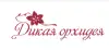 Магазин 'Дикая Орхидея' - круглосуточная доставка цветов и букетов (иллюстрация 1) иллюстрация 1