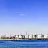 'Нефтью залито всё': с хранилищами творится ад (иллюстрация 1) иллюстрация 1