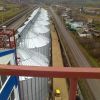 Пшеница как новая нефть: и войны тоже будут