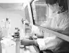Что даст РФ, Китаю и США лидерство в создании вакцины от коронавируса (В гонке за вакциной от COVID-19 участвует более сотни медицинских центров по всему миру) В гонке за вакциной …