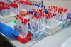 Разработчики опробовали на себе вакцину от COVID-19