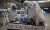 Тайна источника коронавируса известна США и Китаю (иллюстрация 1) иллюстрация 1