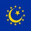 Мусульманская Европа (иллюстрация1 1) иллюстрация1 1