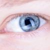ABC (Испания): как улучшить зрение за три минуты (Человеческий глаз | © CC0 / Public Domain, Super Formosa / Pixabay) Человеческий глаз | …