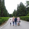 В Крыму уничтожают парк в Форосе (На фото: Форосский парк в Крыму (Фото: Сергей Пономарёв)) На фото: Форосский п…