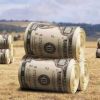Какое дело USAID до украинской земельной реформы? (Какое дело USAID до украинской земельной реформы?) Какое дело USAID до …