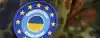 Германия продолжает готовить украинских мобиков