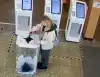 Дураки – уже не просто беда, а прямая угроза безопасности России (дура портит выборы) дура портит выборы