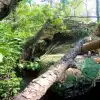 Отражение атаки ДРГ под Белой, ракетный удар, налёты и обстрелы (© Фото : Минобороны России / Telegram / Т72-БМ3 ВС РФ) © Фото : Минобороны …
