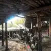 Курская битва: Сырский отправил на 'мясо' сотню французских спецназовцев (Фото: AP/TASS) Фото: AP/TASS