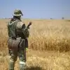 Хлебный кризис. Почему 'житнице Европы' грозит дефицит муки (© РИА Новости . Алексей Майшев / Сбор урожая пшеницы в Запорожской области) © РИА Новости . Алек…