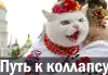 Доктор сказал: 'В морг!'