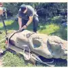 Увозят древних скульптурных баб. Крадут культурное достояние Донбасса (ВСУ воруют каменных баб Донбасса) ВСУ воруют каменных …