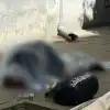 Кем и за что убит экс-комендант Евромайдана Андрей Парубий?