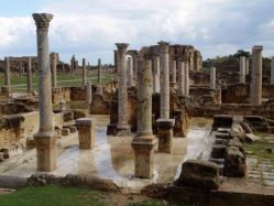 Лептис Магма Лептис Магма