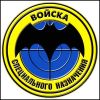 Наш спецназ может всё! (Спецназ) Спецназ