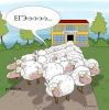 О современном образовании. Часть вторая: опыт учителя (ЕГЕ еее) ЕГЕ еее