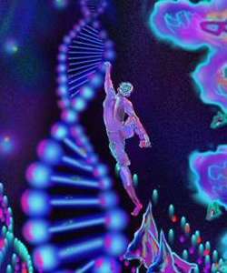ДНК программа жизни